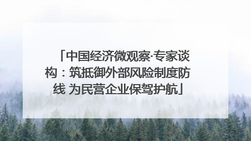 中国经济微观察·专家谈构：筑抵御外部风险制度防线 为民营企业保驾护航