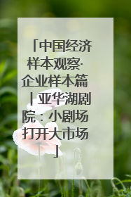 中国经济样本观察·企业样本篇︱亚华湖剧院：小剧场打开大市场