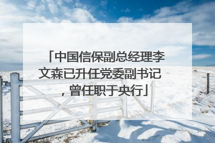中国信保副总经理李文森已升任党委副书记，曾任职于央行