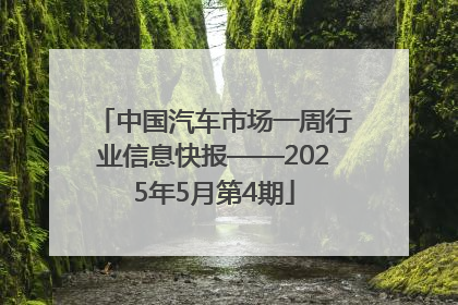中国汽车市场一周行业信息快报——2025年5月第4期