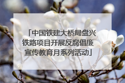 中国铁建大桥局盘兴铁路项目开展反腐倡廉宣传教育月系列活动