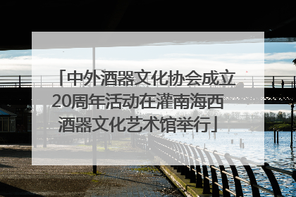 中外酒器文化协会成立20周年活动在灌南海西酒器文化艺术馆举行