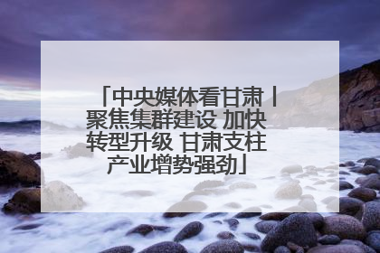 中央媒体看甘肃丨聚焦集群建设 加快转型升级 甘肃支柱产业增势强劲