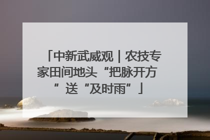 中新武威观｜农技专家田间地头“把脉开方”送“及时雨”