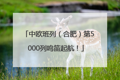 中欧班列（合肥）第5000列鸣笛起航！