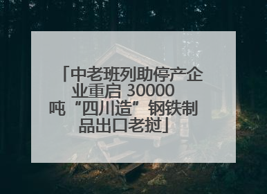 中老班列助停产企业重启 30000吨“四川造”钢铁制品出口老挝