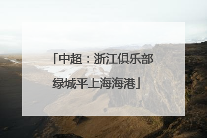 中超：浙江俱乐部绿城平上海海港