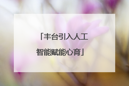 丰台引入人工智能赋能心育