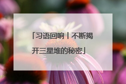 习语回响丨不断揭开三星堆的秘密