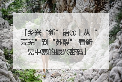 乡兴“新”语①丨从“荒芜”到“苏醒” 看新晃中寨的振兴密码