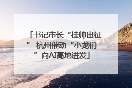 书记市长“挂帅出征” 杭州催动“小龙们”向AI高地进发
