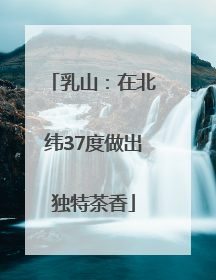 乳山：在北纬37度做出独特茶香