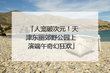人宠破次元！天津东丽郊野公园上演端午奇幻狂欢