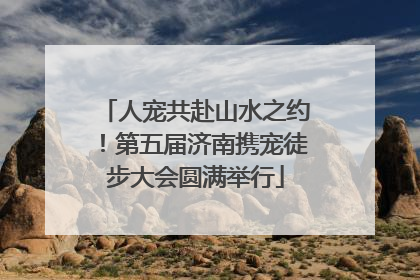 人宠共赴山水之约！第五届济南携宠徒步大会圆满举行