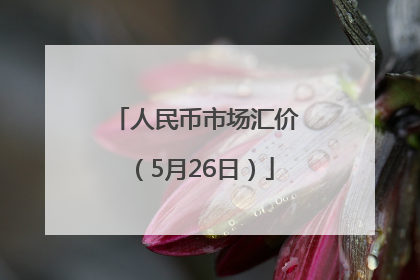 人民币市场汇价（5月26日）