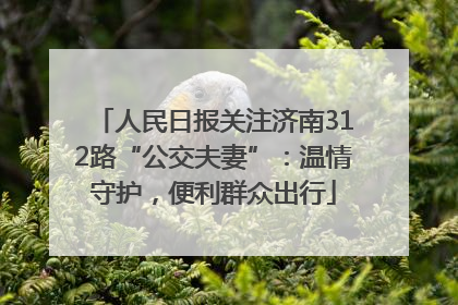 人民日报关注济南312路“公交夫妻”：温情守护，便利群众出行