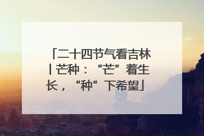 二十四节气看吉林丨芒种：“芒”着生长，“种”下希望