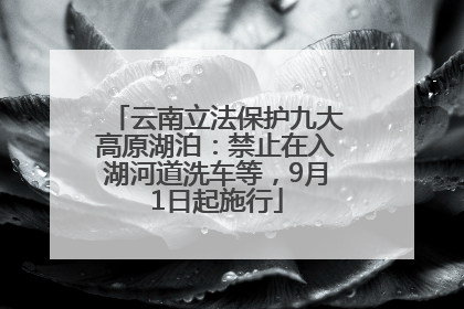 云南立法保护九大高原湖泊：禁止在入湖河道洗车等，9月1日起施行