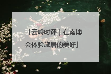 云岭时评｜在南博会体验旅居的美好