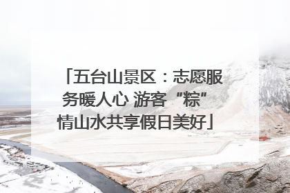 五台山景区：志愿服务暖人心 游客“粽”情山水共享假日美好