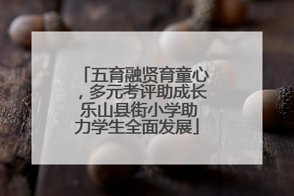 五育融贤育童心，多元考评助成长 乐山县街小学助力学生全面发展