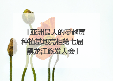 亚洲最大的蔓越莓种植基地亮相第七届黑龙江旅发大会