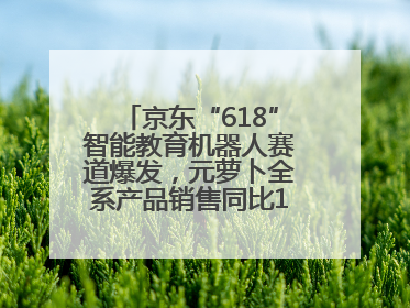 京东“618”智能教育机器人赛道爆发，元萝卜全系产品销售同比171%成黑马
