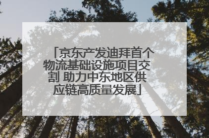 京东产发迪拜首个物流基础设施项目交割 助力中东地区供应链高质量发展