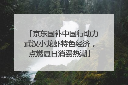 京东国补中国行助力武汉小龙虾特色经济，点燃夏日消费热潮