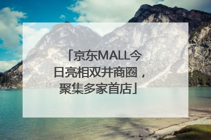 京东MALL今日亮相双井商圈，聚集多家首店