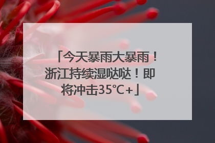 今天暴雨大暴雨！浙江持续湿哒哒！即将冲击35℃+