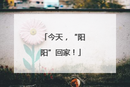 今天，“阳阳”回家！