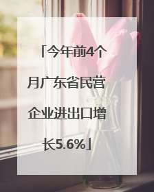 今年前4个月广东省民营企业进出口增长5.6%