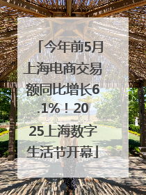 今年前5月上海电商交易额同比增长6.1%！2025上海数字生活节开幕