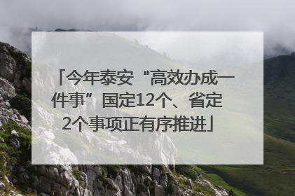 今年泰安“高效办成一件事”国定12个、省定2个事项正有序推进