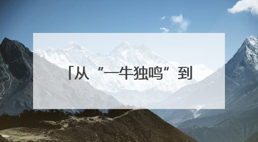 从“一牛独鸣”到“千牛共舞”——古渡河口乡村振兴的“牧场答卷”