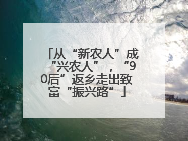 从“新农人”成“兴农人”，“90后”返乡走出致富“振兴路”