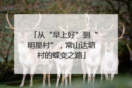 从“早上好”到“明星村”，常山达塘村的蝶变之路