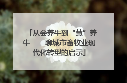 从会养牛到“慧”养牛——聊城市畜牧业现代化转型的启示