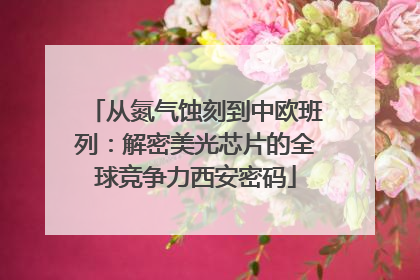 从氮气蚀刻到中欧班列：解密美光芯片的全球竞争力西安密码