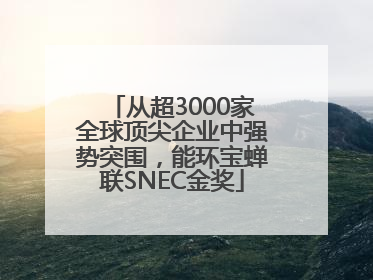 从超3000家全球顶尖企业中强势突围，能环宝蝉联SNEC金奖