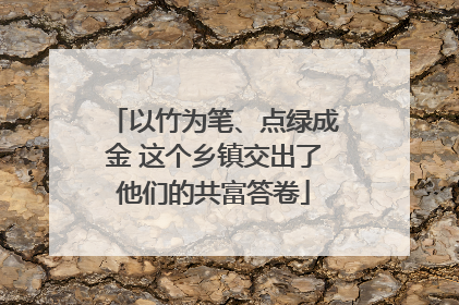 以竹为笔、点绿成金 这个乡镇交出了他们的共富答卷