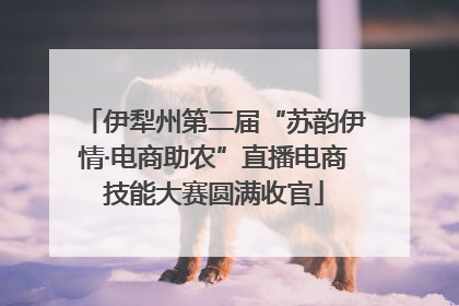 伊犁州第二届“苏韵伊情·电商助农”直播电商技能大赛圆满收官