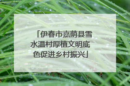伊春市嘉荫县雪水温村厚植文明底色促进乡村振兴