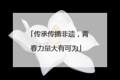 传承传播非遗，青春力量大有可为