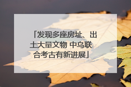 发现多座房址、出土大量文物 中乌联合考古有新进展