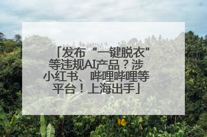 发布“一键脱衣”等违规AI产品？涉小红书、哔哩哔哩等平台！上海出手