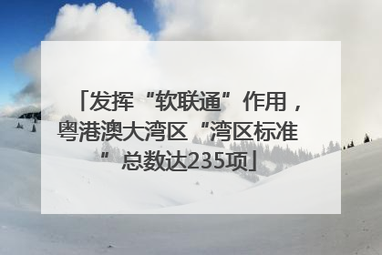 发挥“软联通”作用，粤港澳大湾区“湾区标准”总数达235项
