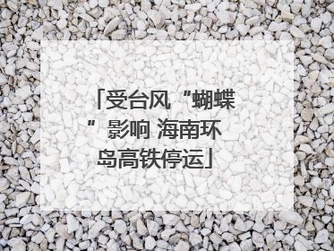 受台风“蝴蝶”影响 海南环岛高铁停运