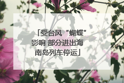 受台风“蝴蝶”影响 部分进出海南岛列车停运